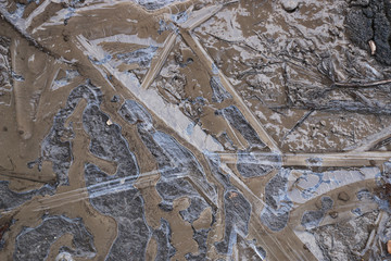 crust of ice on a puddle of leaves