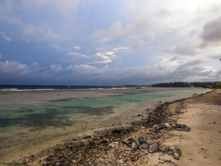 Coastline of coral reef Roatan Honduras