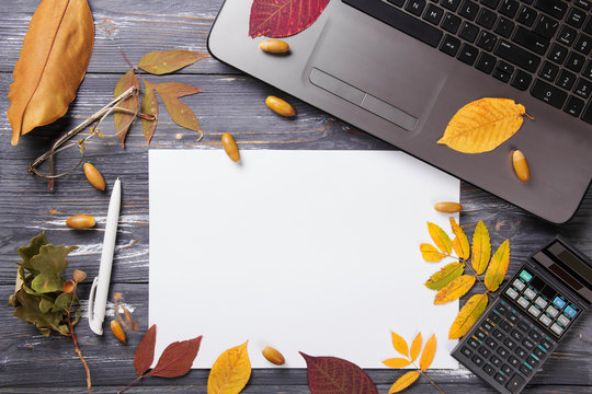 Office table with computer and autumn leaves.