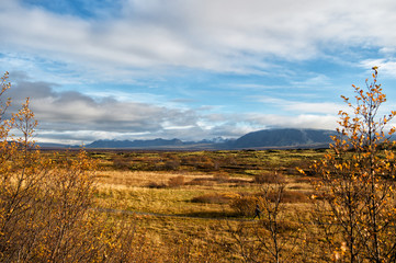 iceland plain landscape view with field in reykjavik. autumn landscape of plain thingvellir. weather and climate. nature and ecology. nature places to stop. sense of freedom. iceland mountains.
