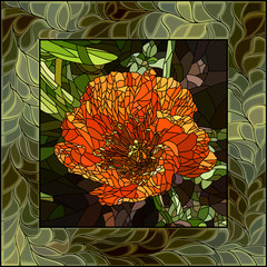 Vector illustration of flower poppy.