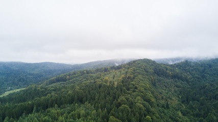 Fototapeta premium Beautiful cloudy green mountain landscape with trees in Carpathians
