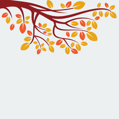 autumn tree isolated vector, nature leaf background