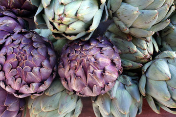 Artichauts. / Artichokes.