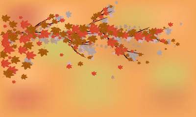 autumn background, autumn leaves fly from a branch