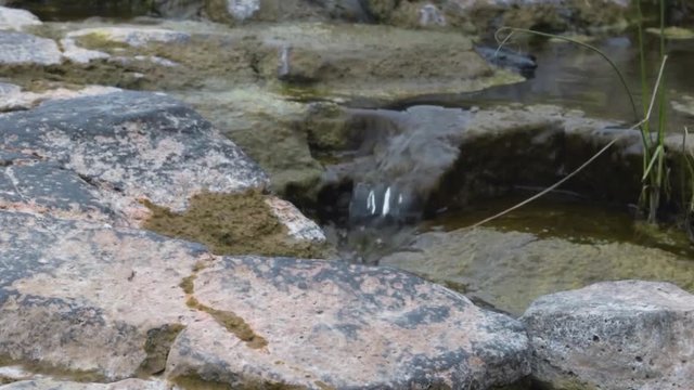 small waterfall in big river mahisagar from rasulpur  , vadodara, gujarat