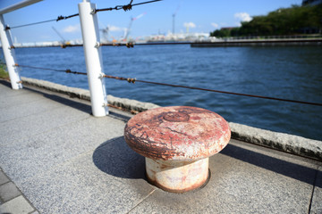 Yokohama view