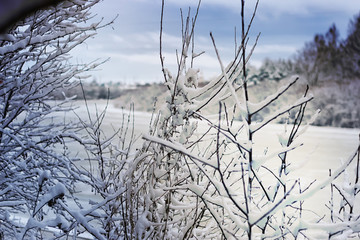 winter river in forest