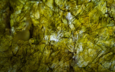 Dried Sheet Of Nori Seaweed, Japanese Cuisine Ingredient To Wrap Rolls Of Sushi Or Onigiri. Texture Macro Image. Abstract Organic Background.