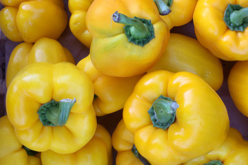 Poivrons jaunes. / Yellows peppers.