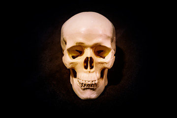 Human skull on isolated dark background