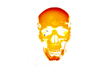 Human skull on isolated white background