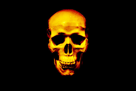 Human skull on isolated dark background