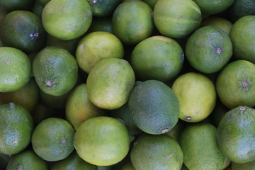 Citrons verts. / Limes.