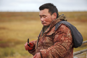 The extreme north, Yamal, the preparation of deer meat, the male reindeer breeder eats fresh meat,...