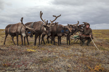 Tundra, open area, assistant reindeer breeder,  the men  in national clothes