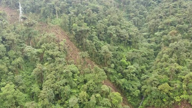 Strip clear cut through montane rainforest to string new electricity pylons. For the Hydro Abanico Hydroelectric scheme on the Amazonian slopes of the Andes in Morona Santiago province, Ecuador