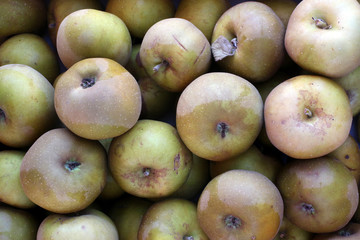 Pommes Canada. / Apples. Canada.