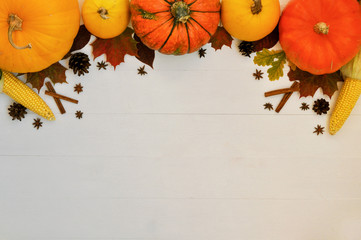 Yellow and orange pumpkins and corn with autumn decor on white wooden background for harvest fall and thanksgiving theme. cornucopias