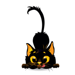 Black cat washes. Vector illustration on isolated background.