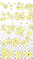 Vector Realistic Yellow Flowers Falling on Transparent Background.  Spring Romantic Flowers Illustration. Flying Petals. Sakura Spa Design. Blossom Confetti. Design Elements for Wedding Decoration.