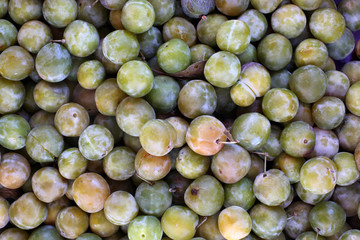 Prunes reine claude. / Plums queen claude.