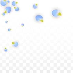 Vector Realistic Blue Petals Falling on Transparent Background.  Spring Romantic Flowers Illustration. Flying Petals. Sakura Spa Design. Blossom Confetti.