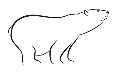 Полярный медведь.