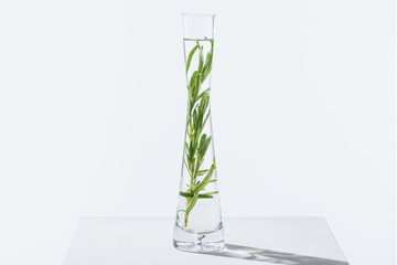 one transparent vase of natural herbal essential oil with twigs on white surface