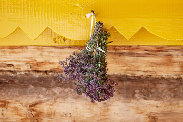 Herbaceous plants - oregano dried on rope