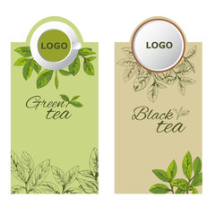 green black tea labels set, tea logo, hand-drawn