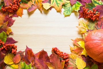 Border of autumn leaves, pumpkin and rowanberry on wooden board. Copy space. Fall concept.