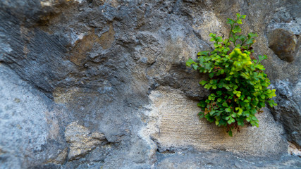 background texture sandstone beautiful stones.