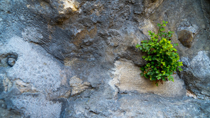 background texture sandstone beautiful stones.