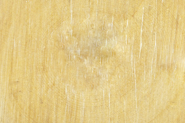 Natural saw cut of a tree. Background, texture.