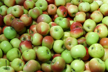 Background of many red-green apples