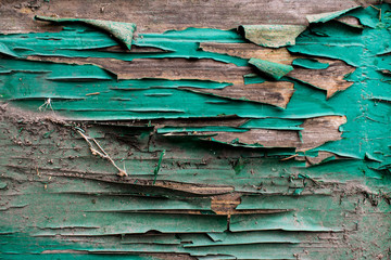 An ancient background in the form of a wooden texture with a shabby weathered paint of different colors. Vintage coating on boards of different sizes. Broken sharp wood.