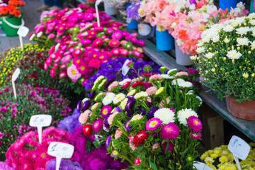 Fototapeta na wymiar Asters and different other flowers on city central market in autumn