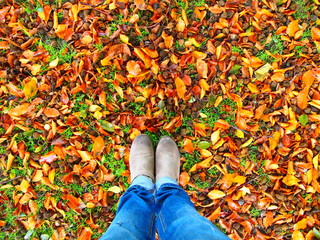 Autumn walk in a park 