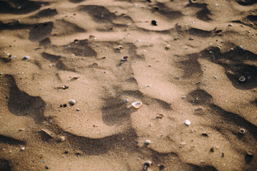 Fototapeta na wymiar close up of sand pattern with seashells of a beach in the summer