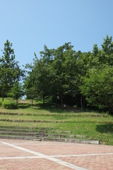 シャボン玉　景色