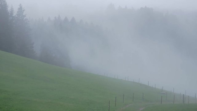 Timelapse about foggy morning in the austrian mountain. The fog is moving quickly in the valley while I was taking a walk in the moody warm foggy sunrise on my adventure in the austrian alps