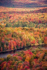 Obraz premium Autumn in Upstate New York