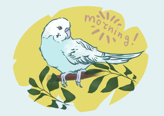 Funny blue parrot