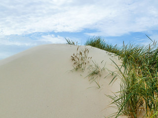 Dünen am Meer