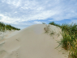 Dünen am Meer