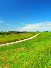 砂利道のある河川敷風景