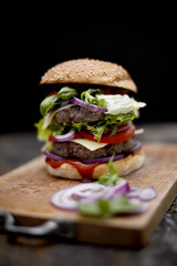 hamburger with fries