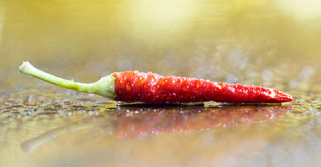 Fresh red hot chili pepper - web banner