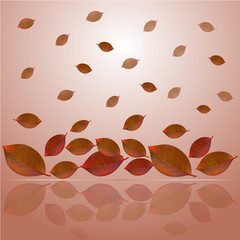 Autumn background design with falling colorful red, brown and yellow leaves